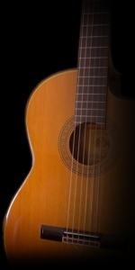 Acoustic Guitar